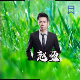 赵盈